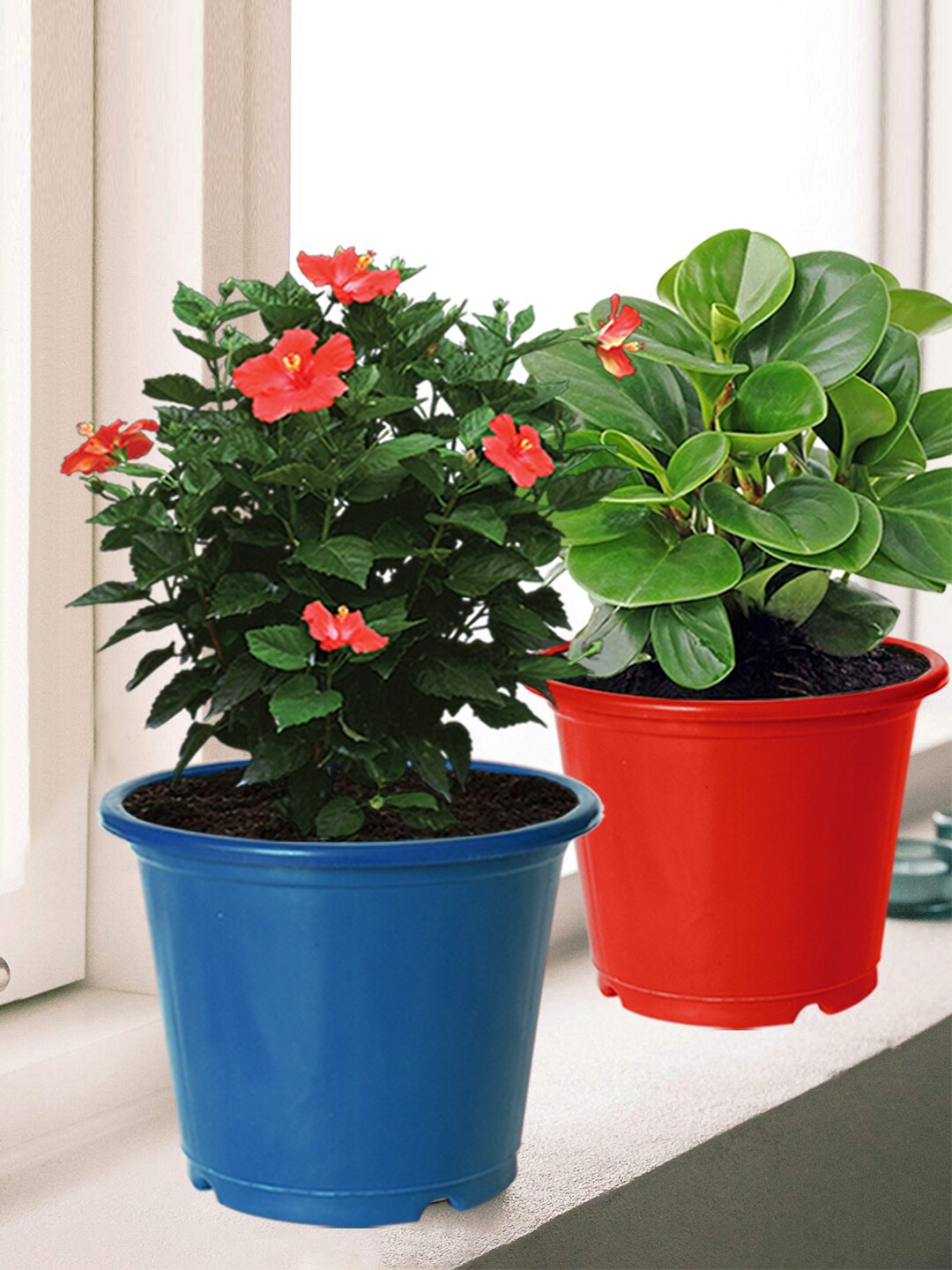 

Kuber Industries Pack of 10 Solid Layered Plastic Planters With Drainage Hole, Blue
