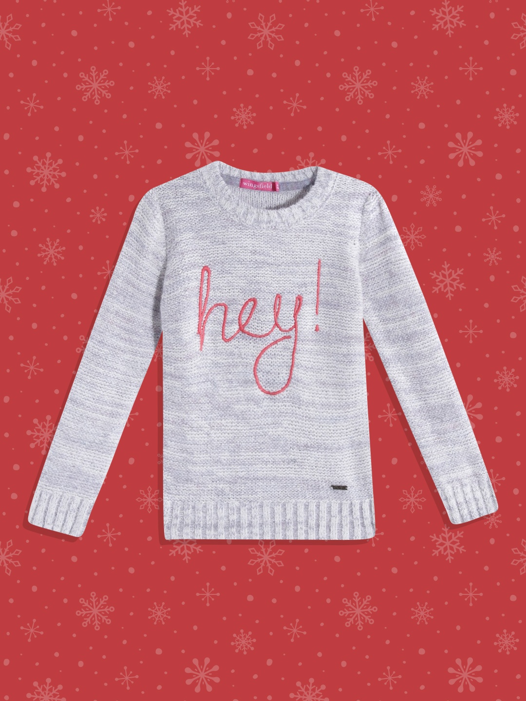 

Wingsfield Girls Blue & Pink Typography Pullover with Embroidered Detail