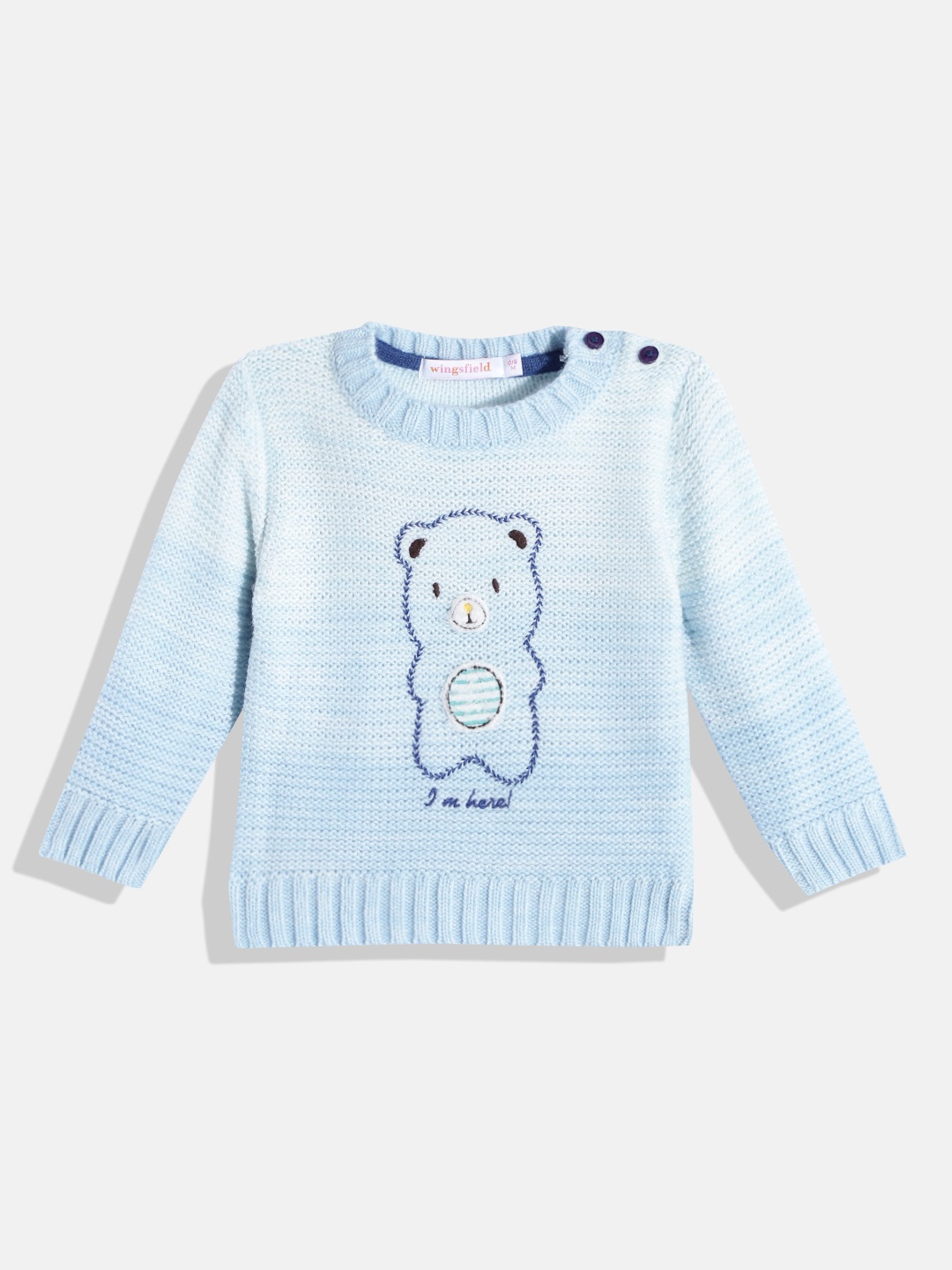 

Wingsfield Boys Blue Graphic Printed Pullover