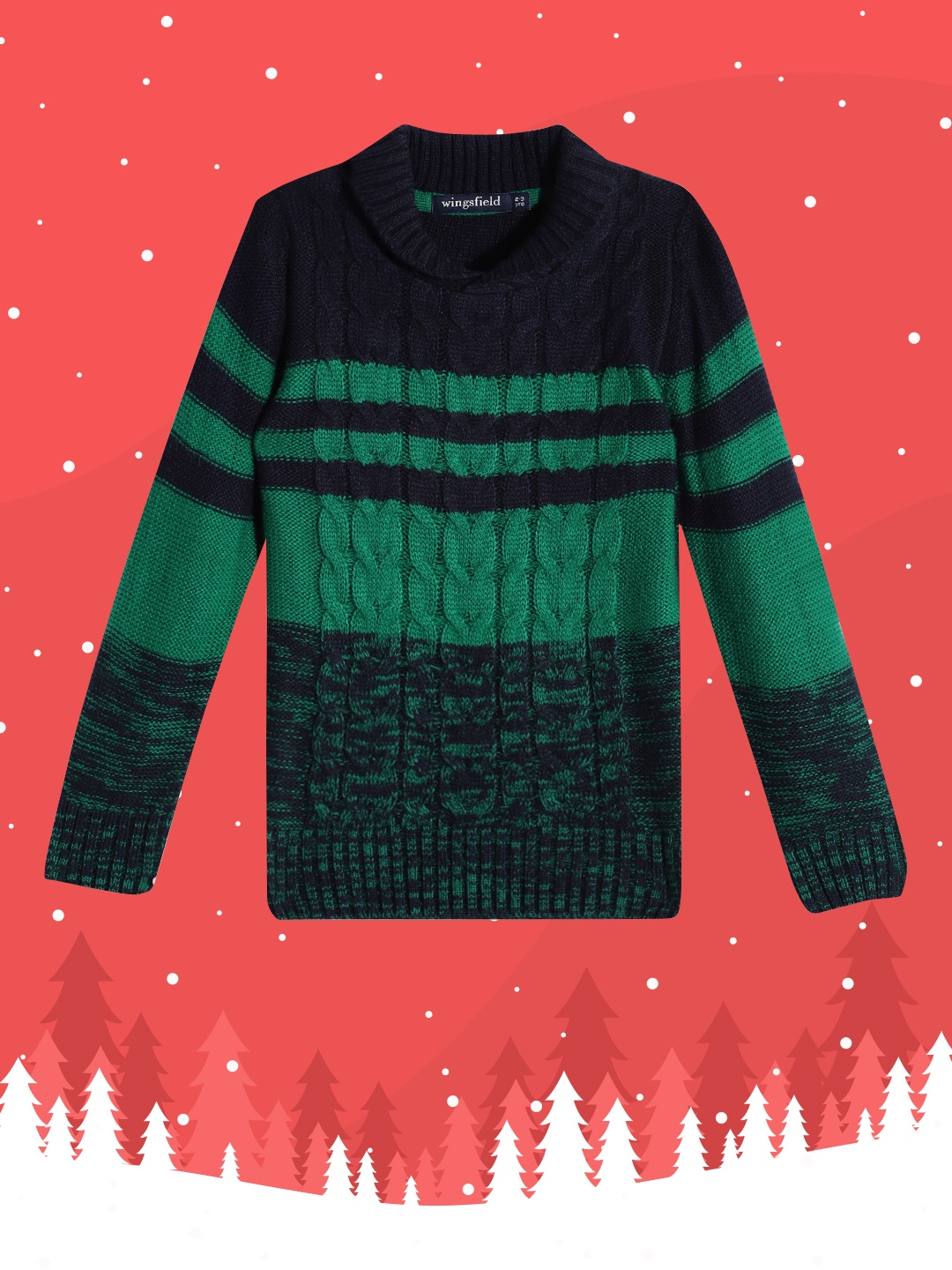 

Wingsfield Boys Green & Navy Blue Cable Knit Acrylic Pullover