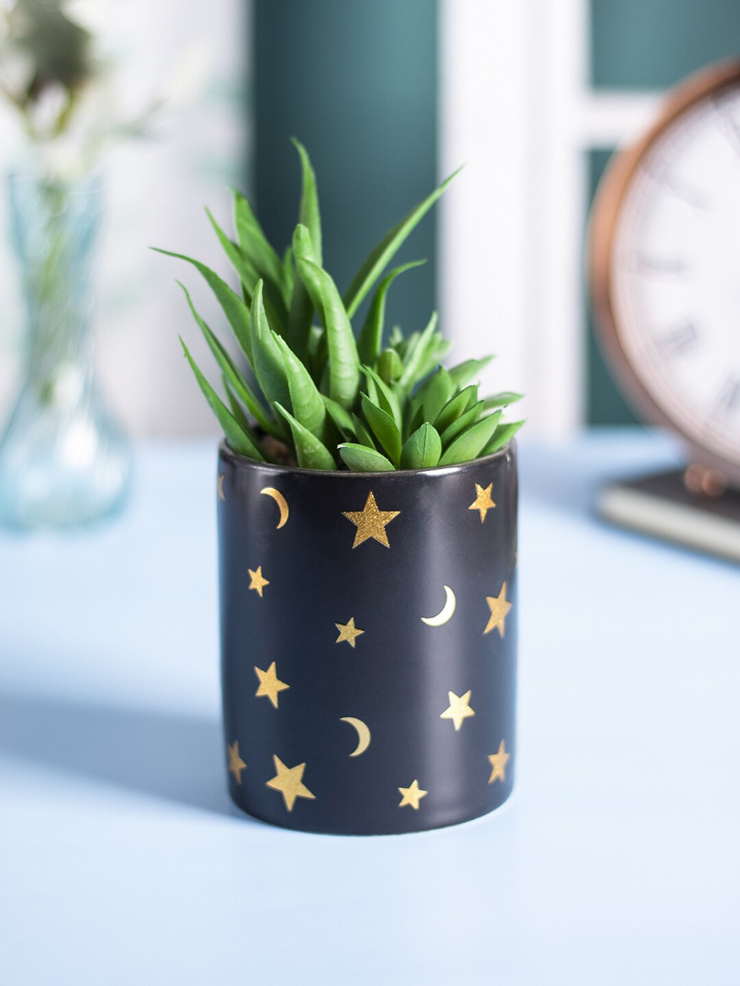

MARKET99 Black Fake Aloevera Planter Pot Artificial Flowers and Plants