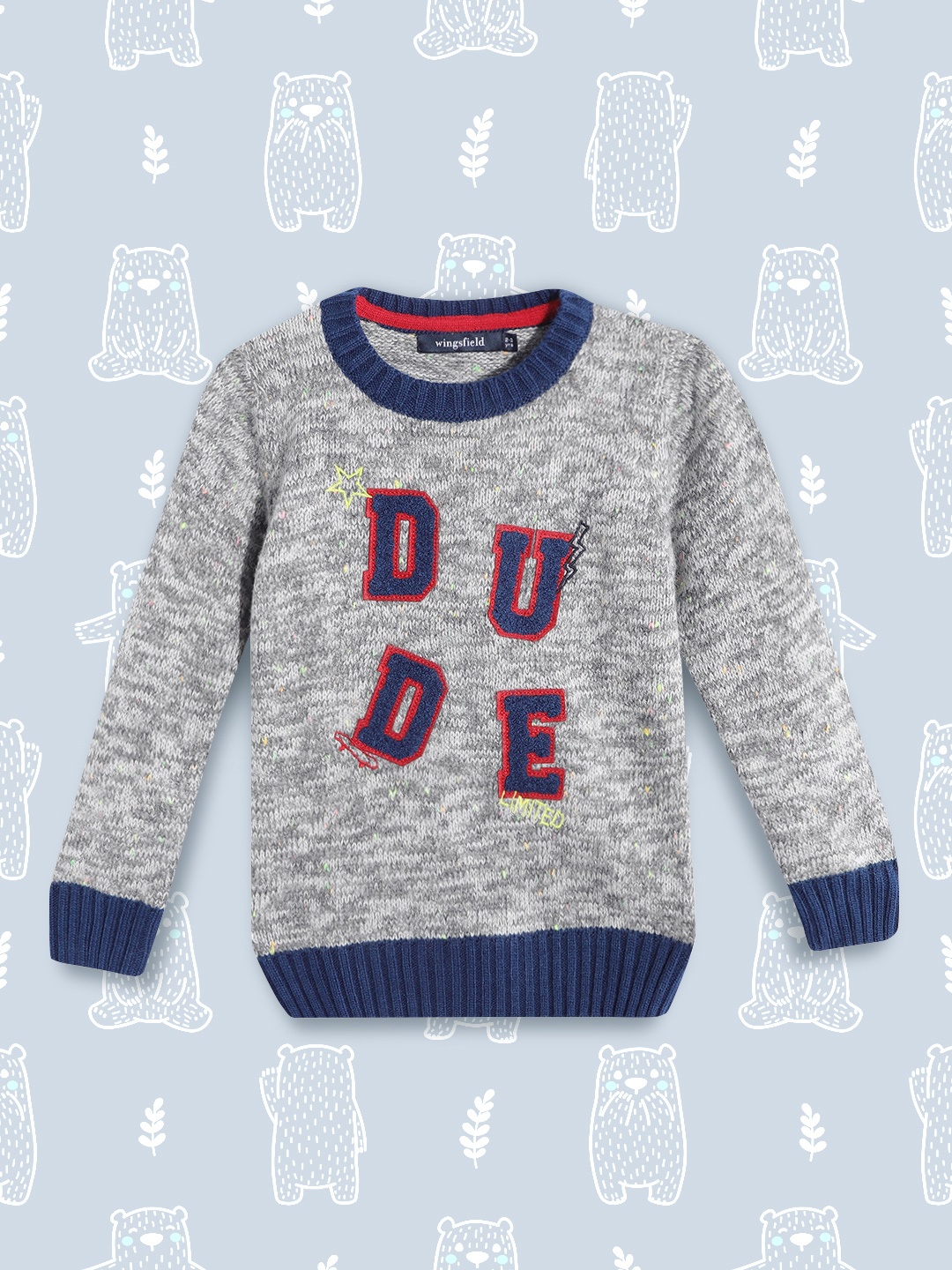 

Wingsfield Boys Grey & Navy Blue Typography Pullover with Embroidered Detail