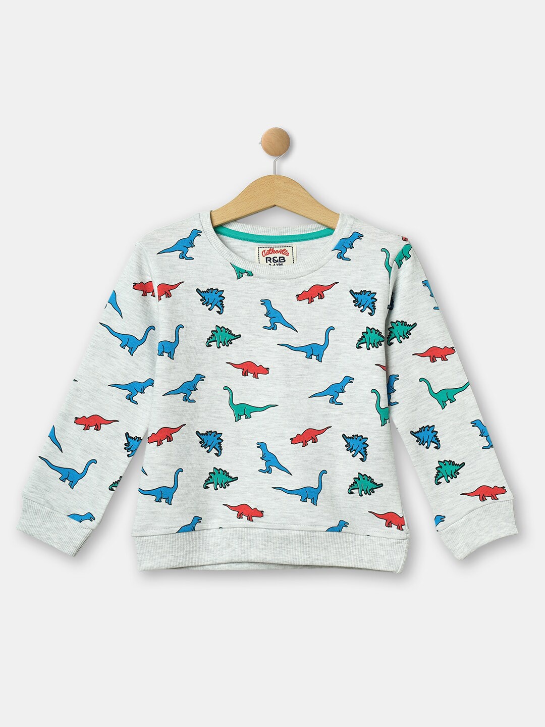 

R&B Boys Grey Printed Sweatshirt