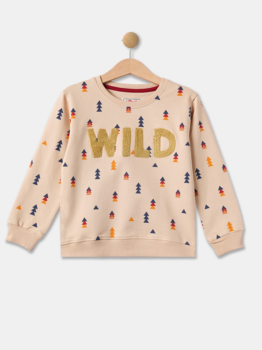 

R&B Boys Beige Printed Sweatshirt