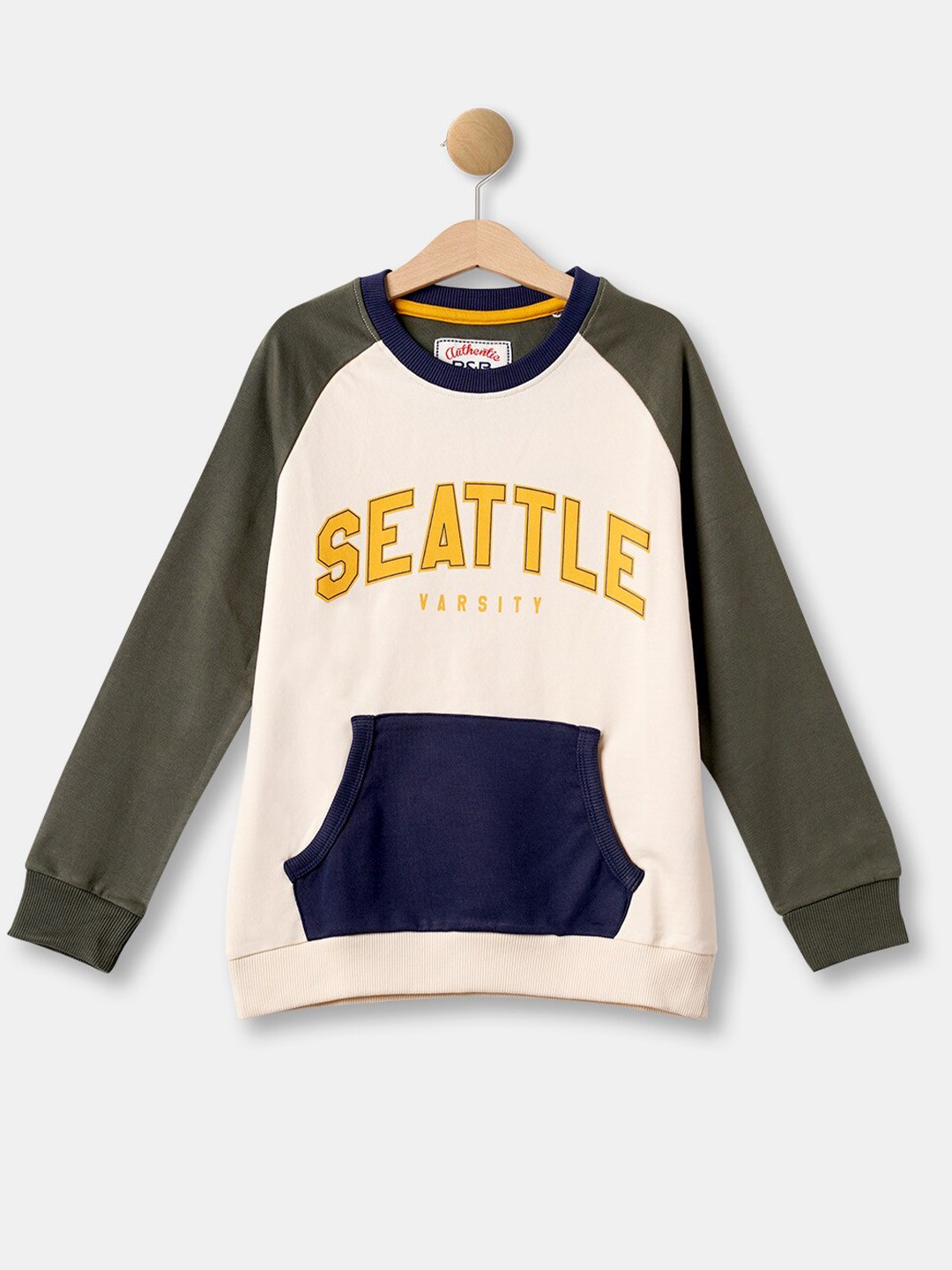 

R&B Boys Grey & Beige Printed Cotton Sweatshirt
