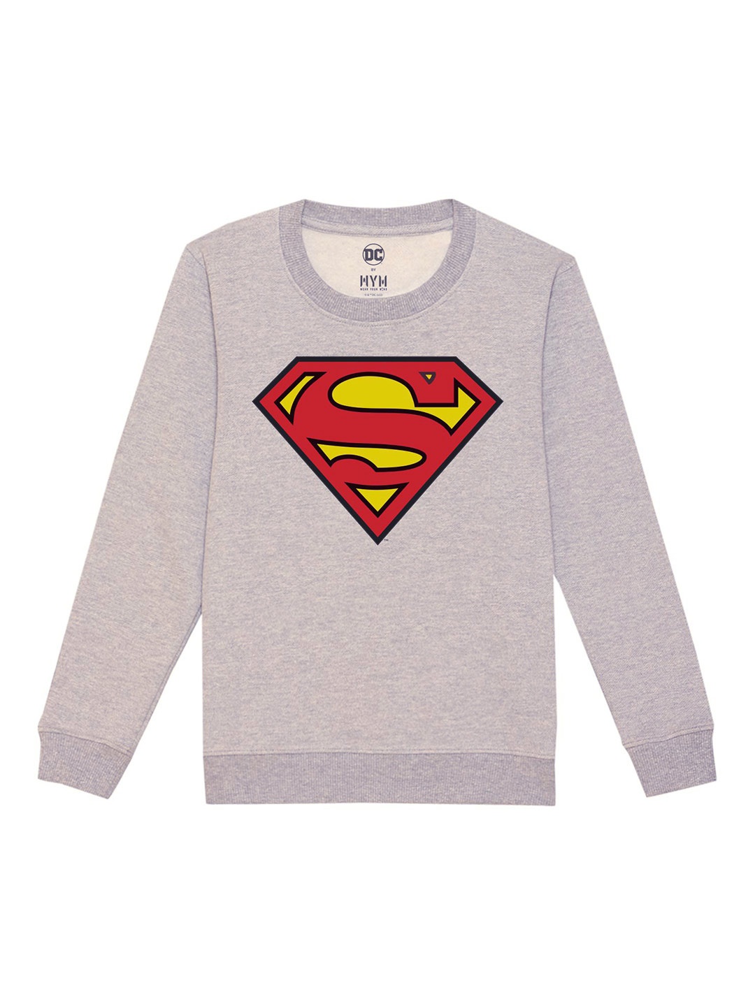 

DC by Wear Your Mind Unisex Kids Grey Printed Sweatshirt