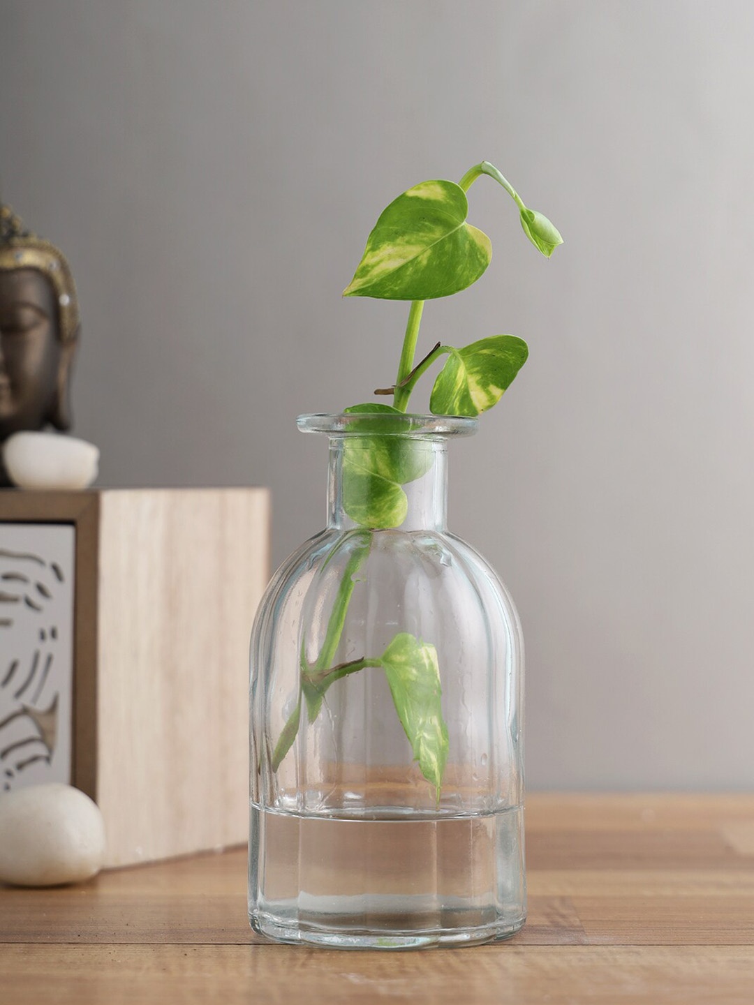

TAYHAA Grey & Transparent Retro Design Glass Vases
