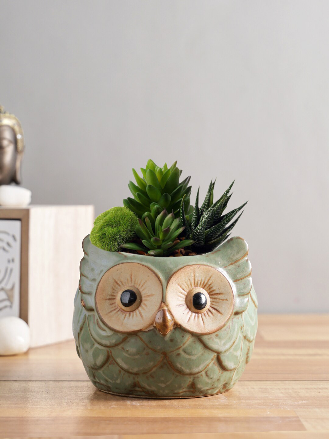 

TAYHAA Green Textured Owl Printed Ceramic Vase