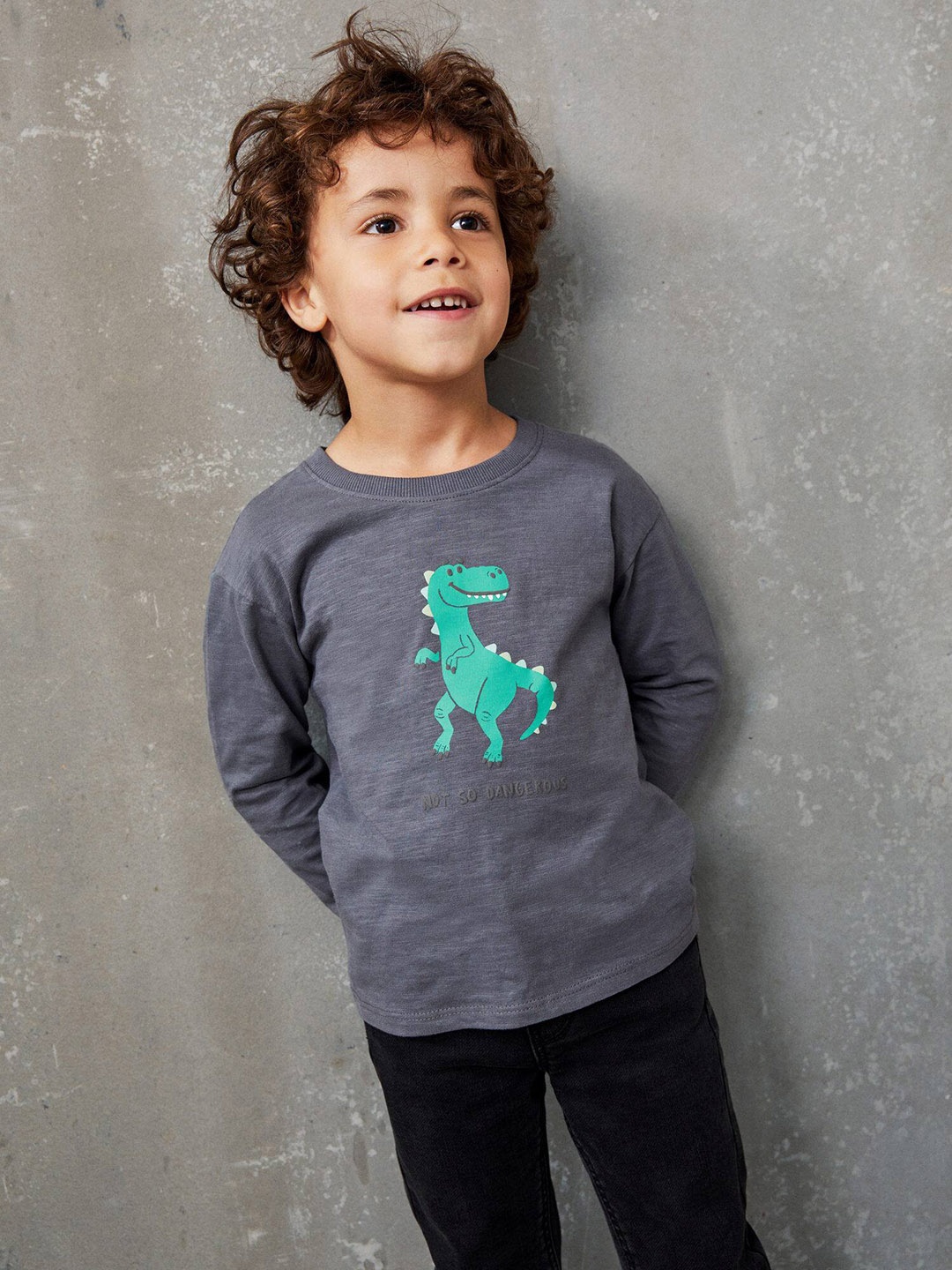 

Mango Kids Boys Grey & Green Pure Cotton Dinosaur Printed T-shirt