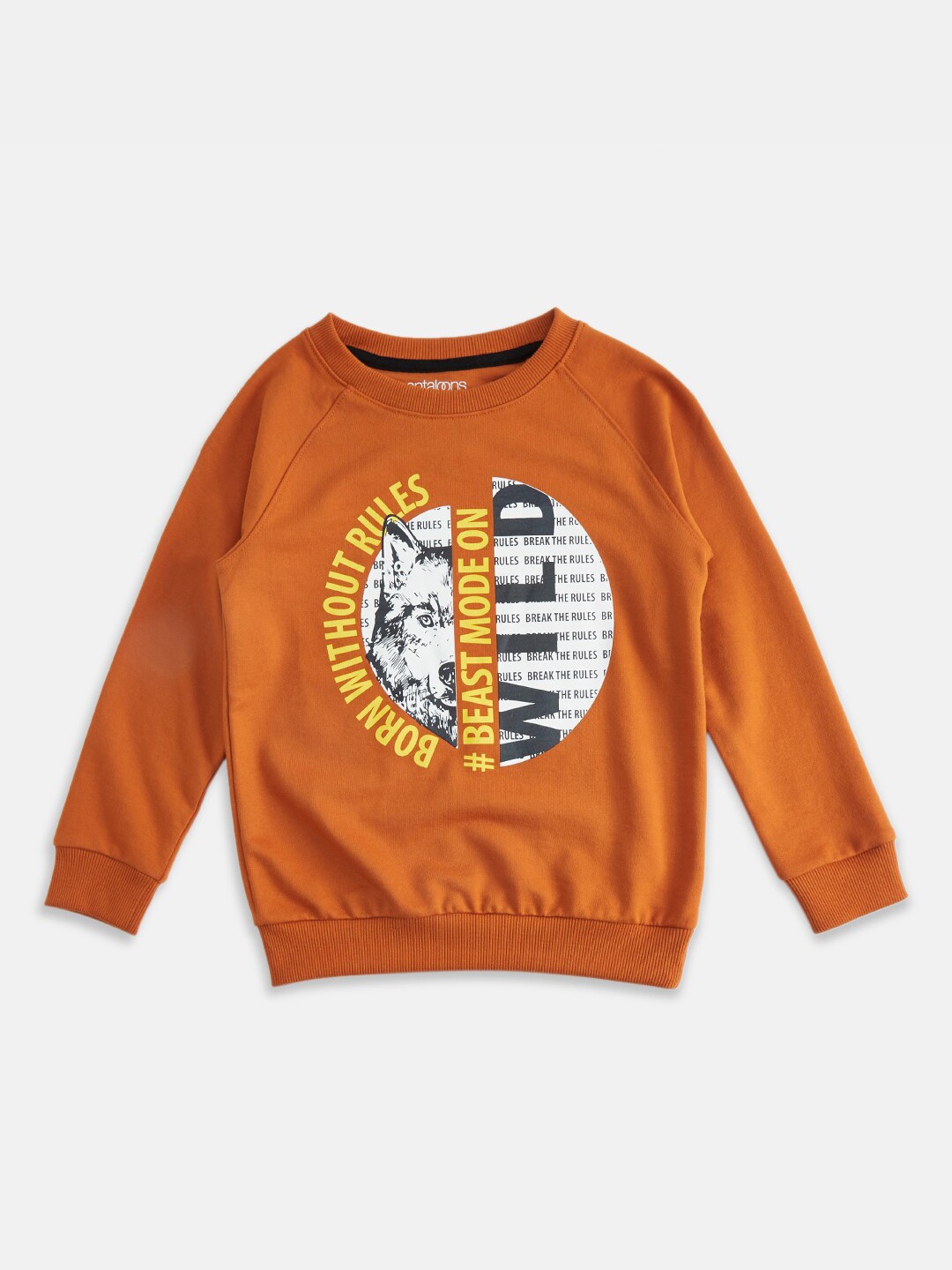 

Pantaloons Junior Boys Printed Sweatshirt, Brown