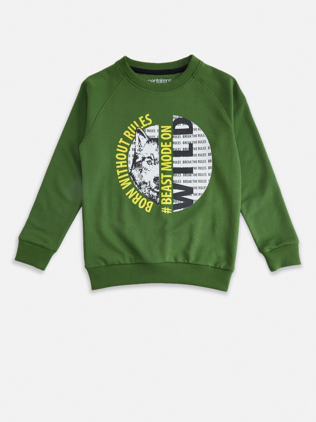 

Pantaloons Junior Boys Printed Sweatshirt, Green