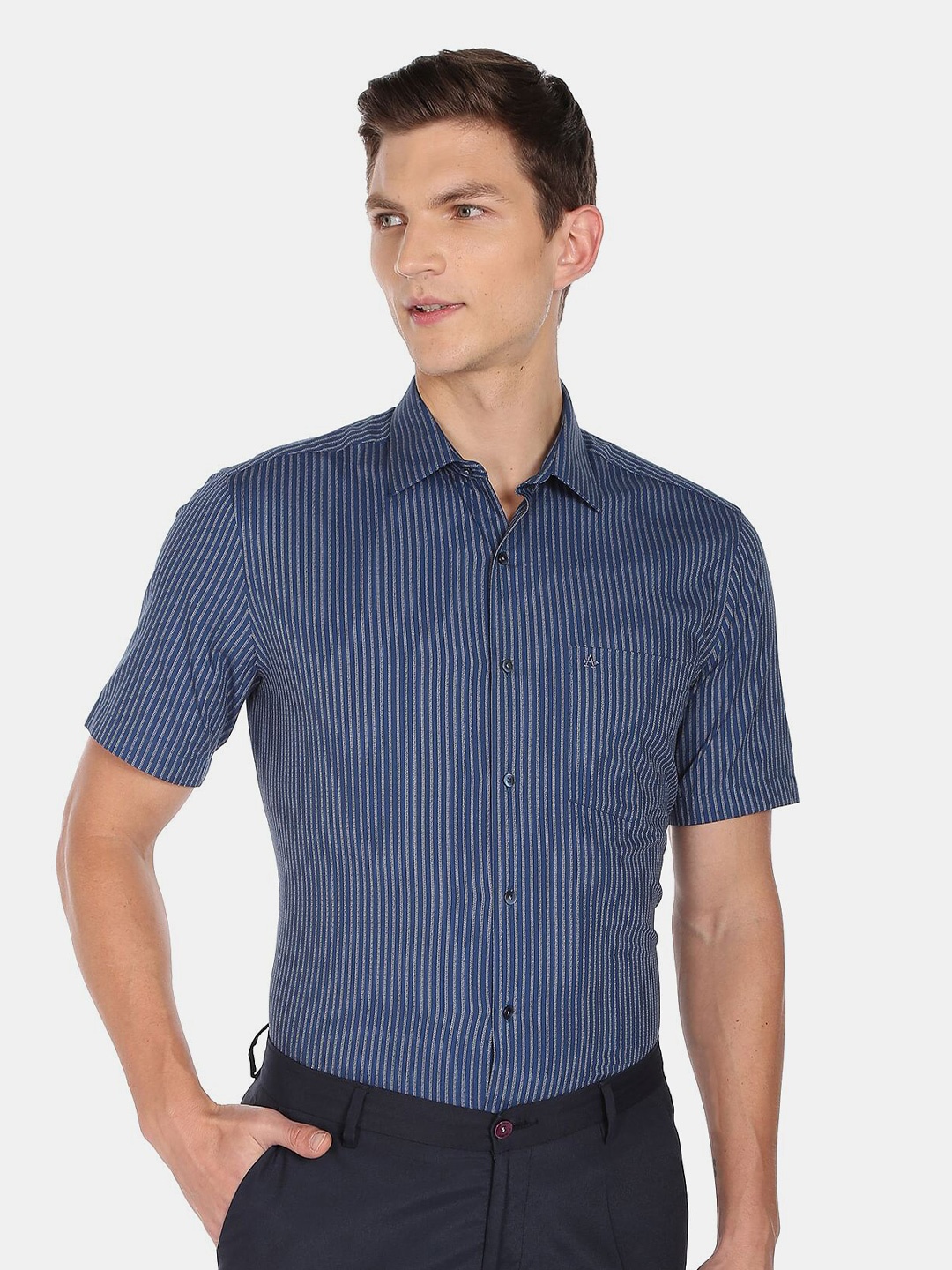 

Arrow Men Regular Fit Striped Cotton Formal Shirt, Blue
