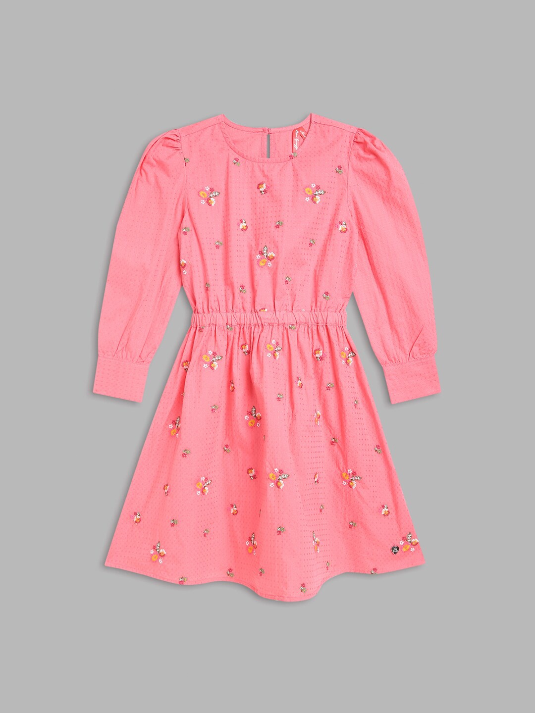 

Blue Giraffe Girls Pink Floral Embroidered A-Line Dress