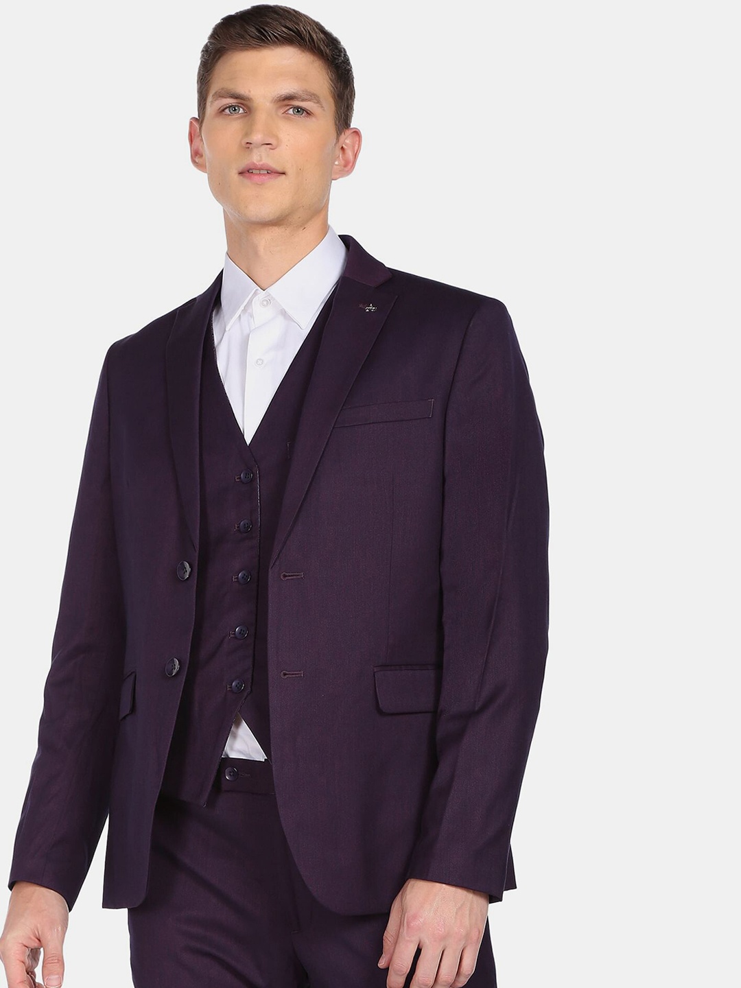 

Arrow Men Purple Solid Single-Breasted 3-Piece Formal Suit