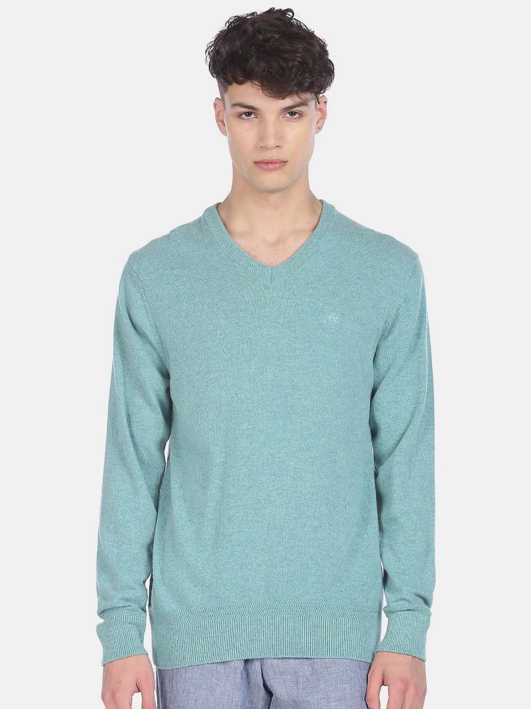 

Arrow Sport Men Sea Green Pullover