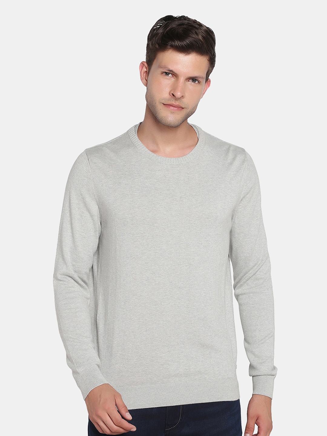 

Blackberrys Men Grey Pullover