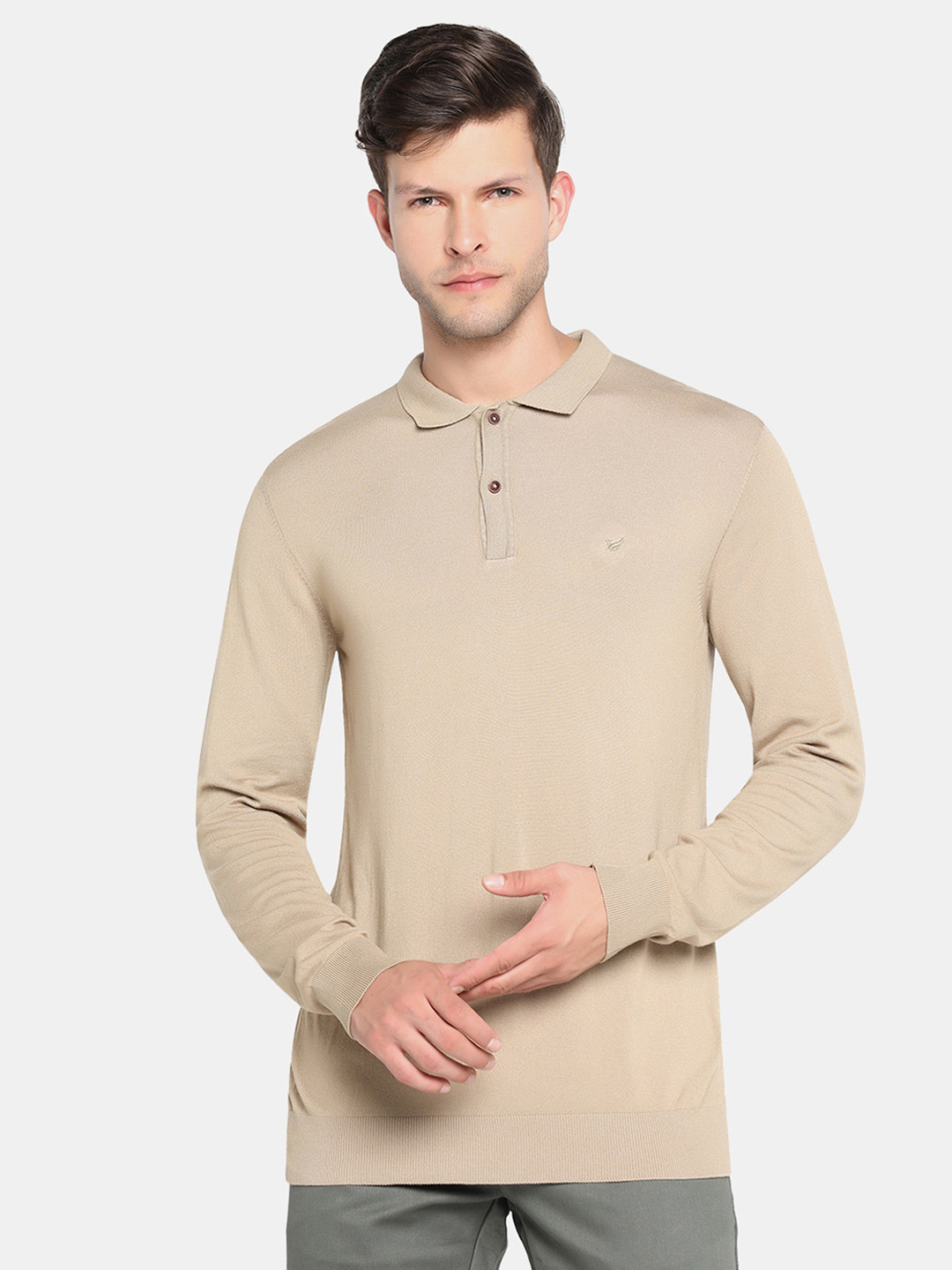 

Blackberrys Men Beige Pullover