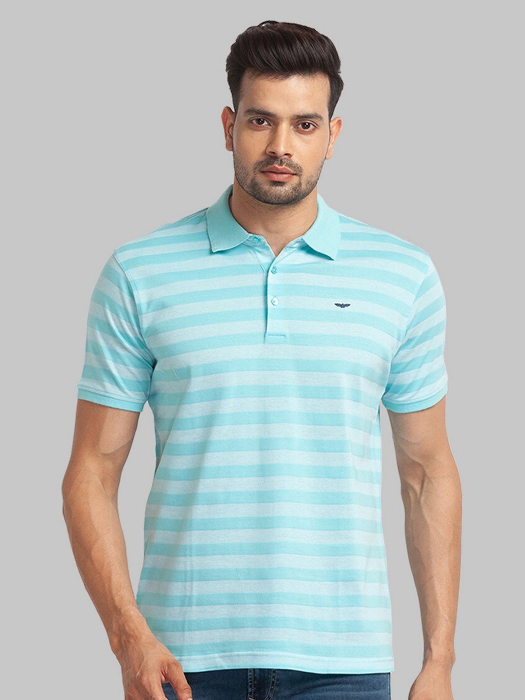 

Park Avenue Men Striped Polo Collar Organic Cotton T-shirt, Blue