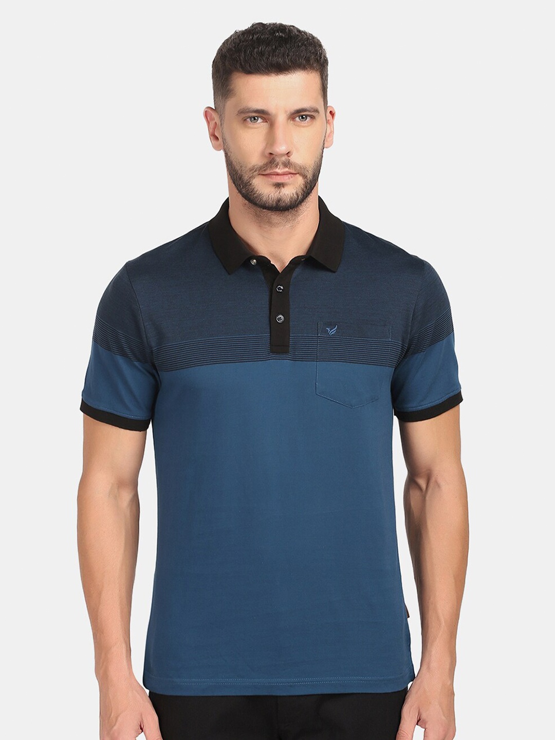 

Blackberrys Men Teal Blue Colourblocked Polo Collar Slim Fit Pure Cotton T-shirt