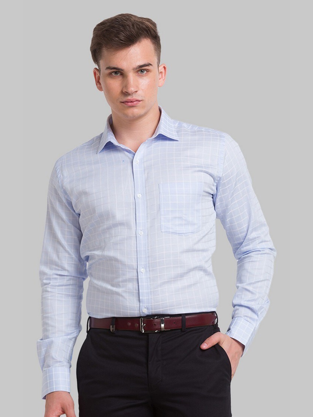 

Park Avenue Men Blue Micro Checks Checked Formal Shirt
