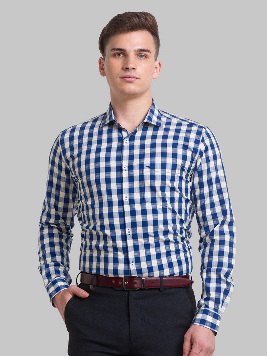 

Park Avenue Men Blue Slim Fit Gingham Checks Checked Organic Cotton Formal Shirt