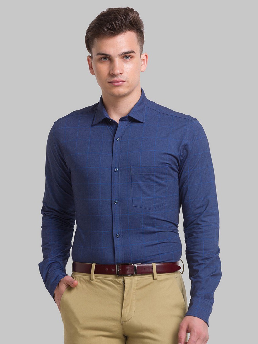 

Park Avenue Men Blue Slim Fit Windowpane Checks Checked Organic Cotton Formal Shirt