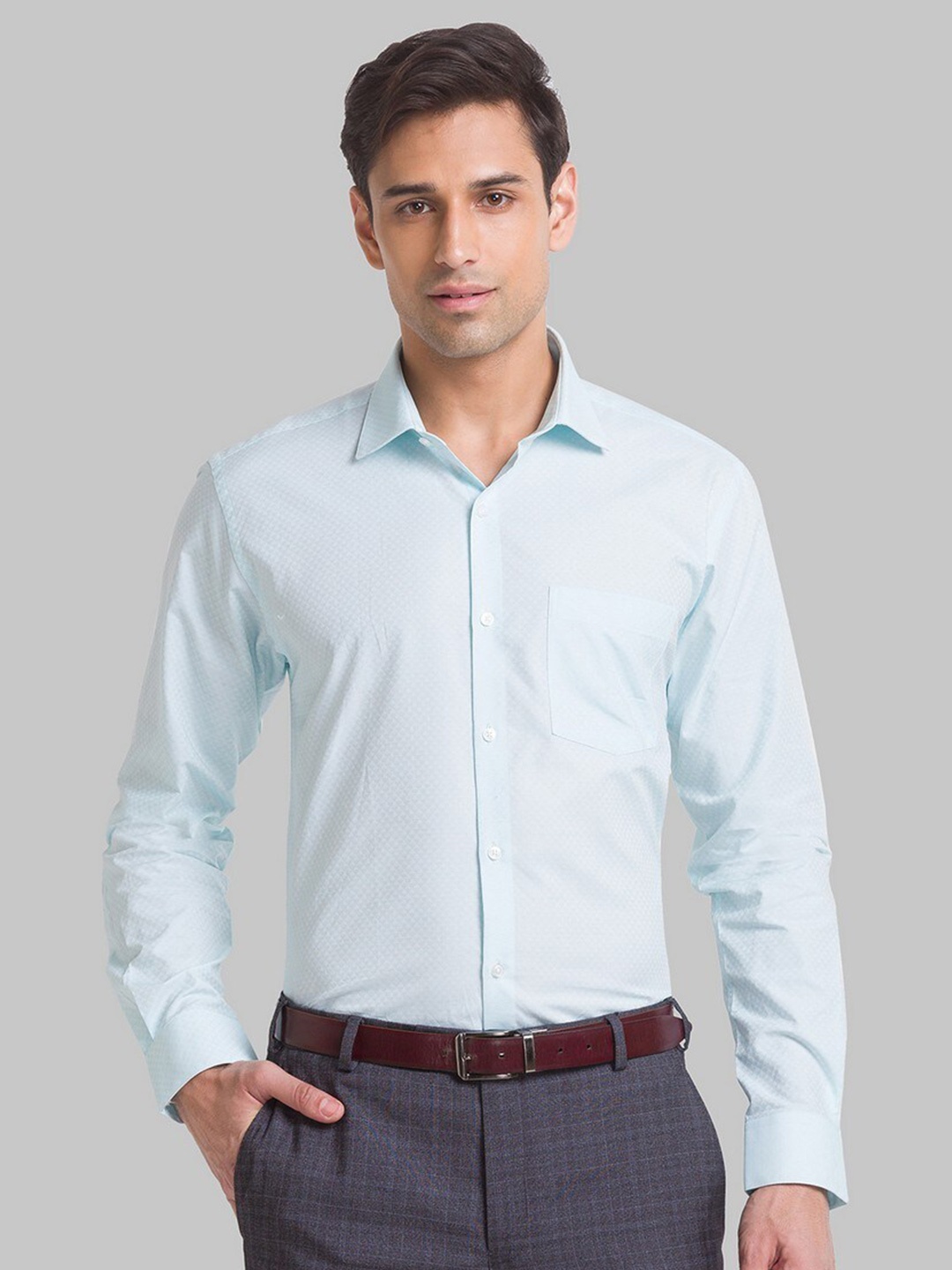 

Park Avenue Men Sea Green Slim Fit Formal Shirt