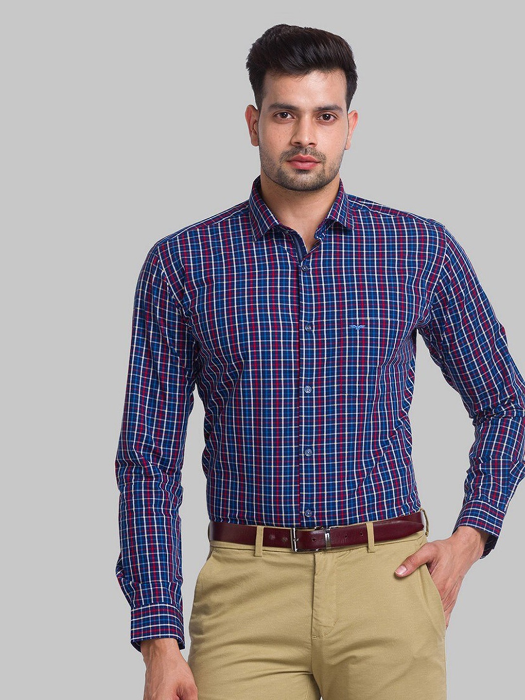 

Park Avenue Men Blue Slim Fit Checked Formal Shirt