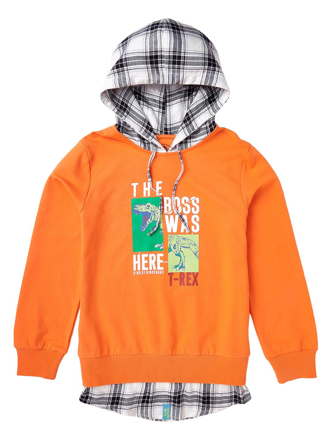

Cub McPaws Boys Orange Printed Hooded Sweatshirt