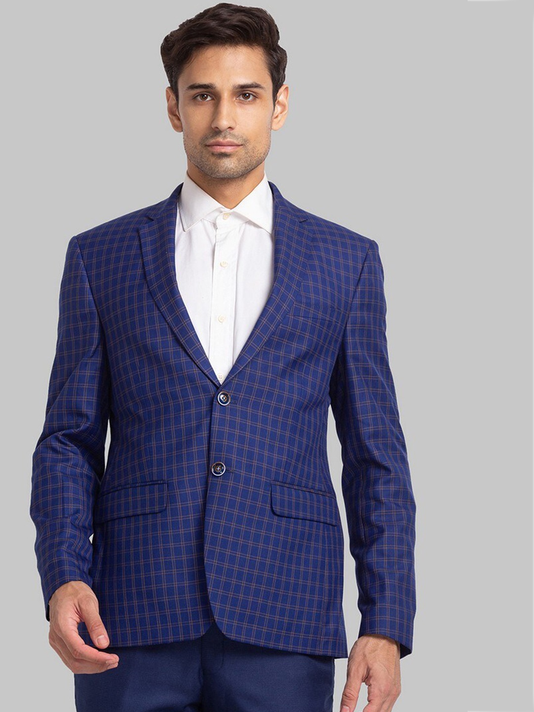 

Park Avenue Men Blue Checked Single-Breasted Blazers