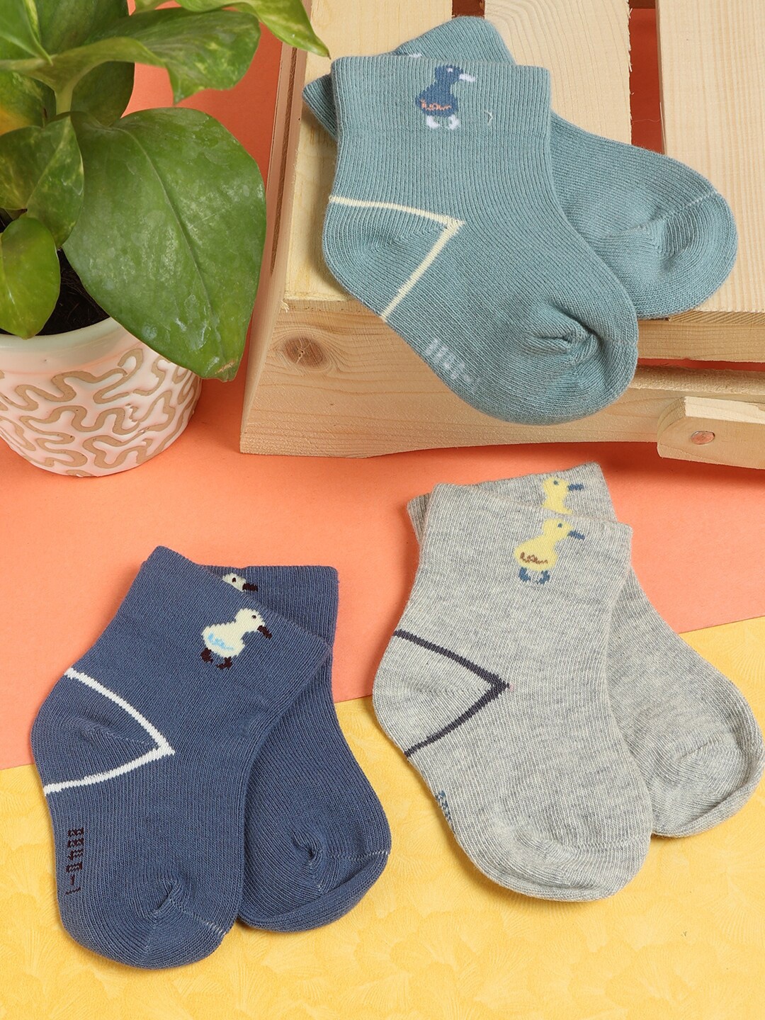 

PASSION PETALS Infants Boys Pack Of 3 Patterned Ankle-Length Socks, Blue