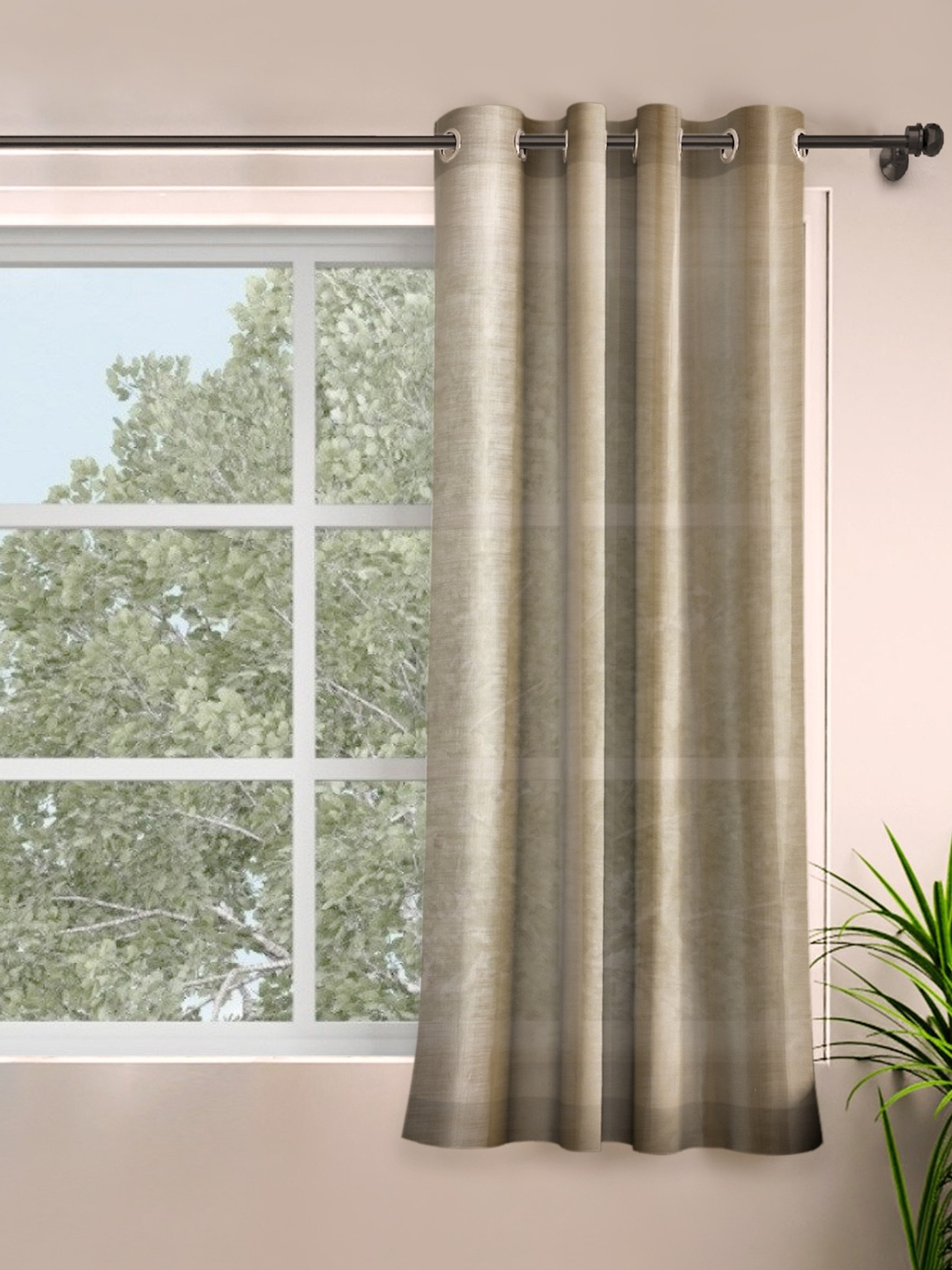 

ROSARA HOME Taupe Solid Polyester Sheer Window Curtain