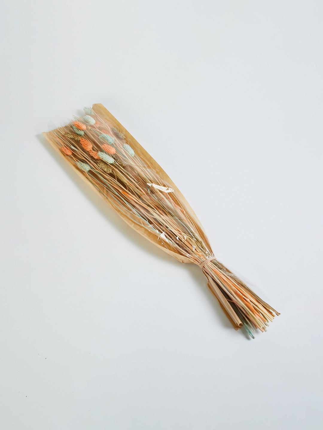 

Home Centre Plastic Artificial Phalaris Bunch, Sea green