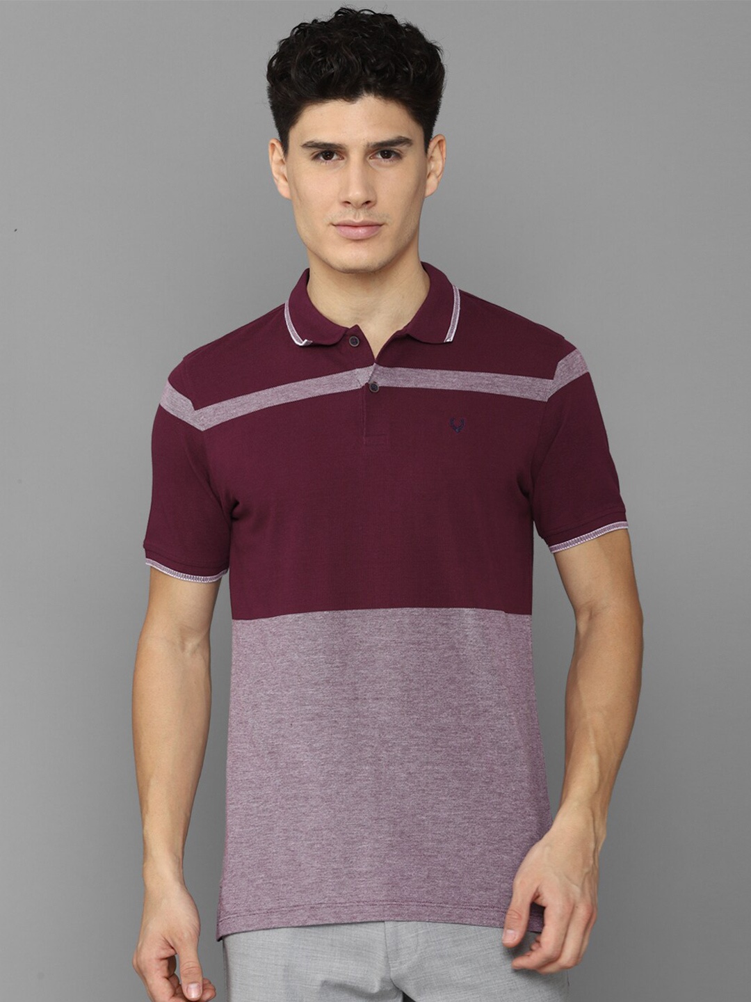 

Allen Solly Men Colourblocked Polo Collar T-shirt, Purple
