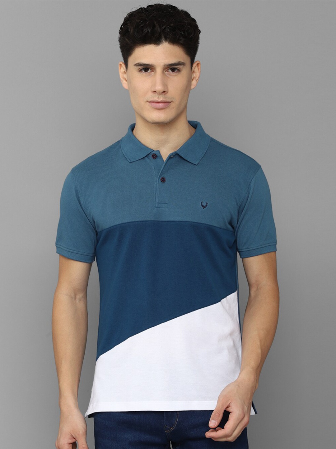 

Allen Solly Men Colourblocked Polo Collar T-shirt, Blue