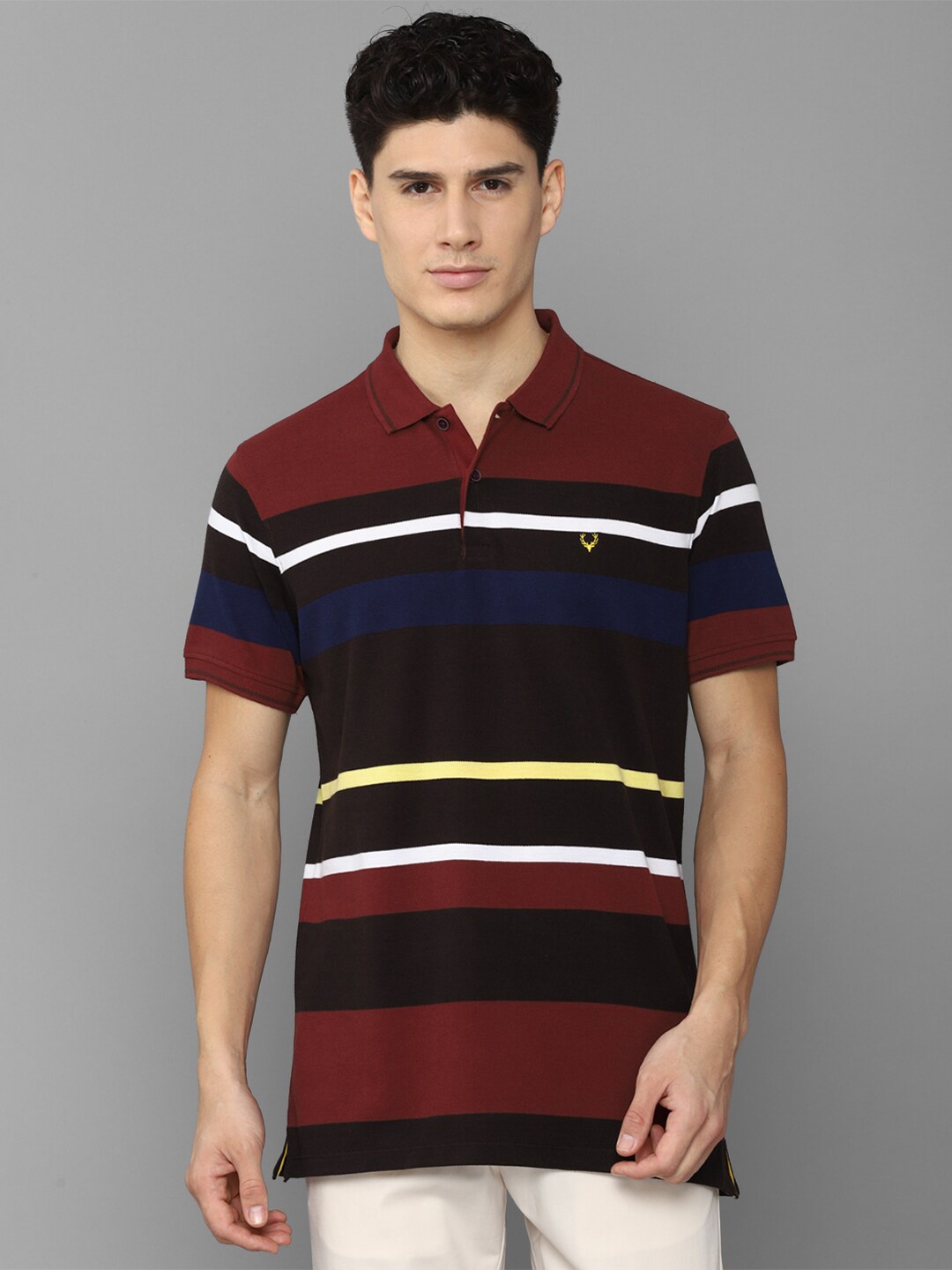 

Allen Solly Men Striped Polo Collar T-shirt, Maroon