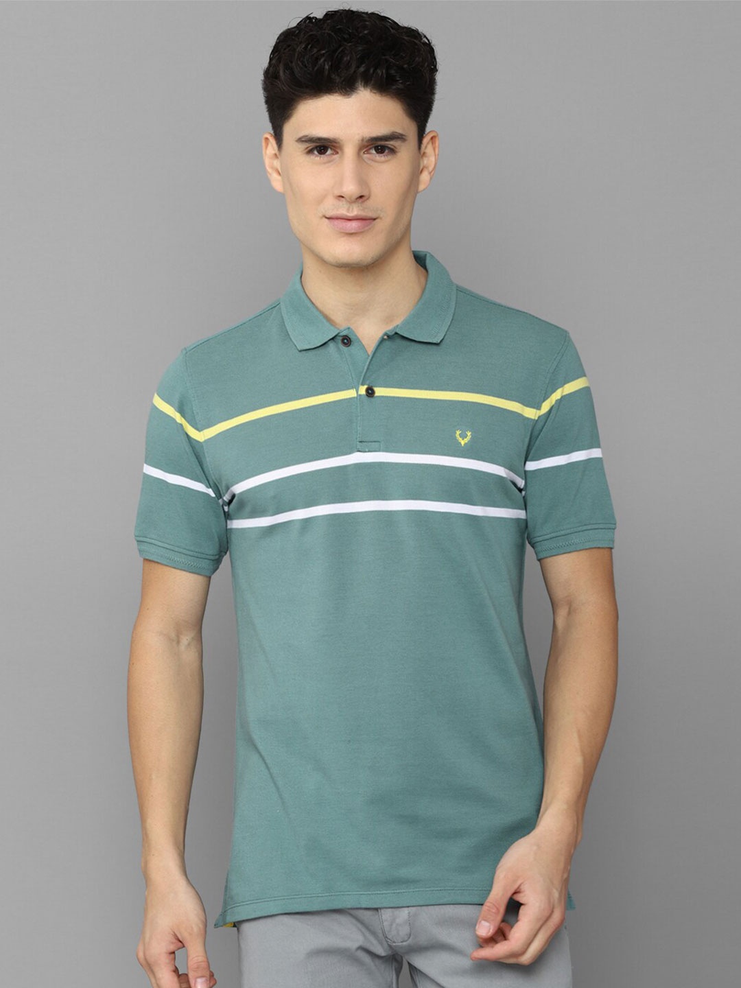 

Allen Solly Men Striped Polo Collar T-shirt, Green