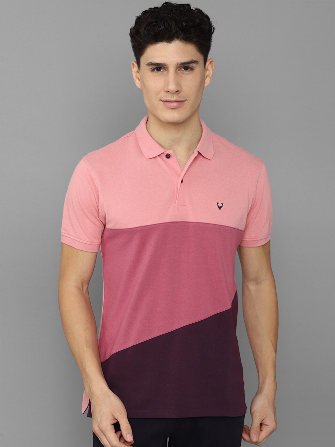 

Allen Solly Men Colourblocked Polo Collar T-shirt, Pink