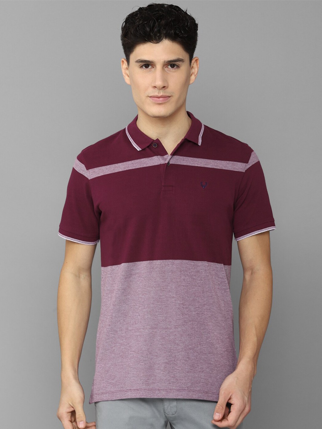 

Allen Solly Men Colourblocked Polo Collar T-shirt, Purple