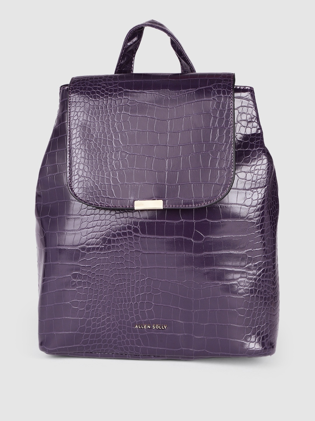 

Allen Solly Women Purple Textured Backpack