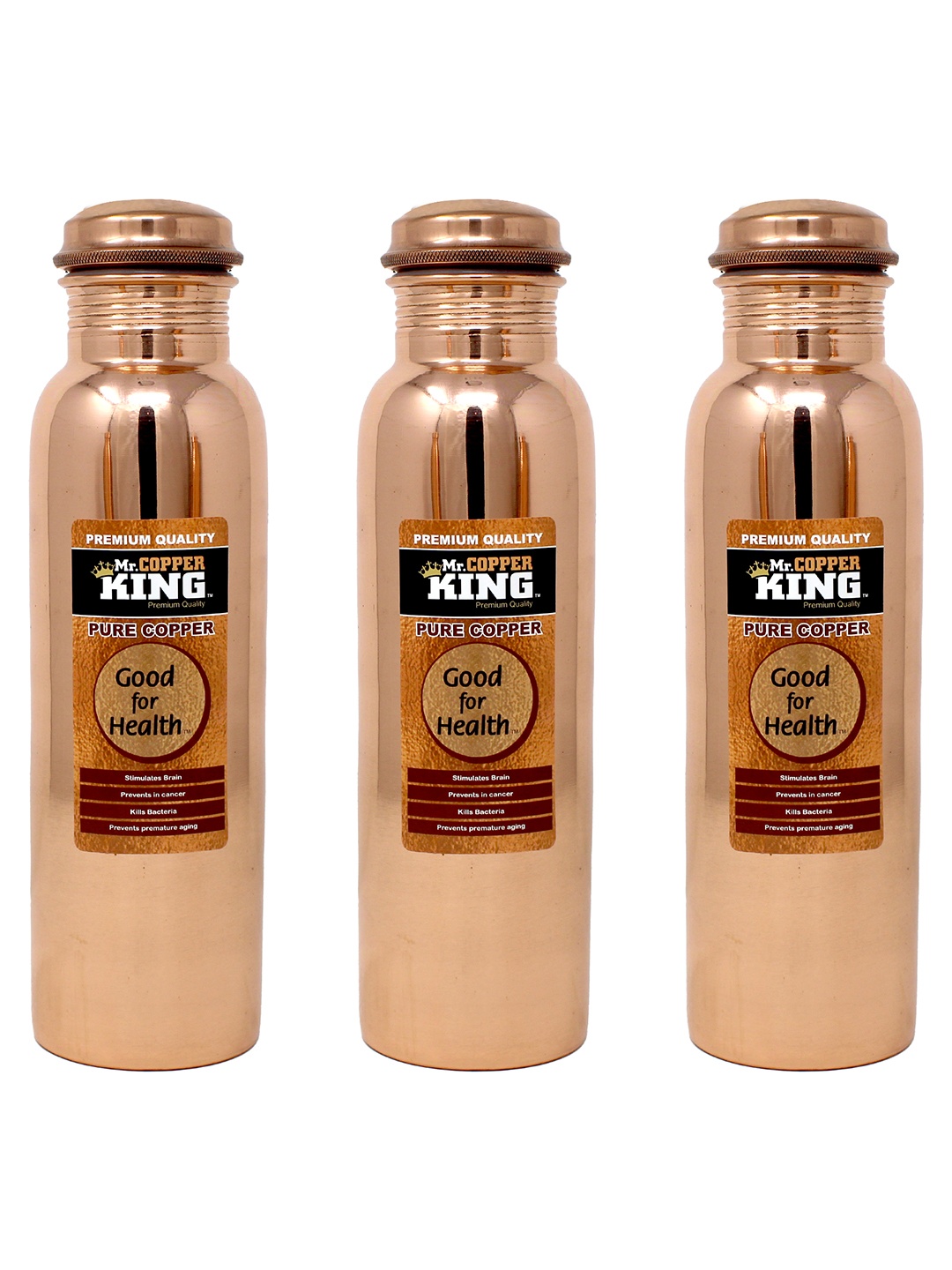 

MR. COPPER KING Brown Set Of 3 Solid Water Bottles 950 ml