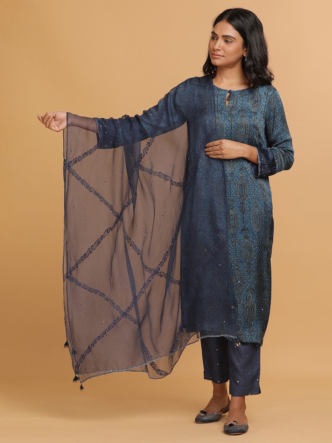 

W The Folksong Collection Women Blue Embroidered Drape Silk Organza Dipatta