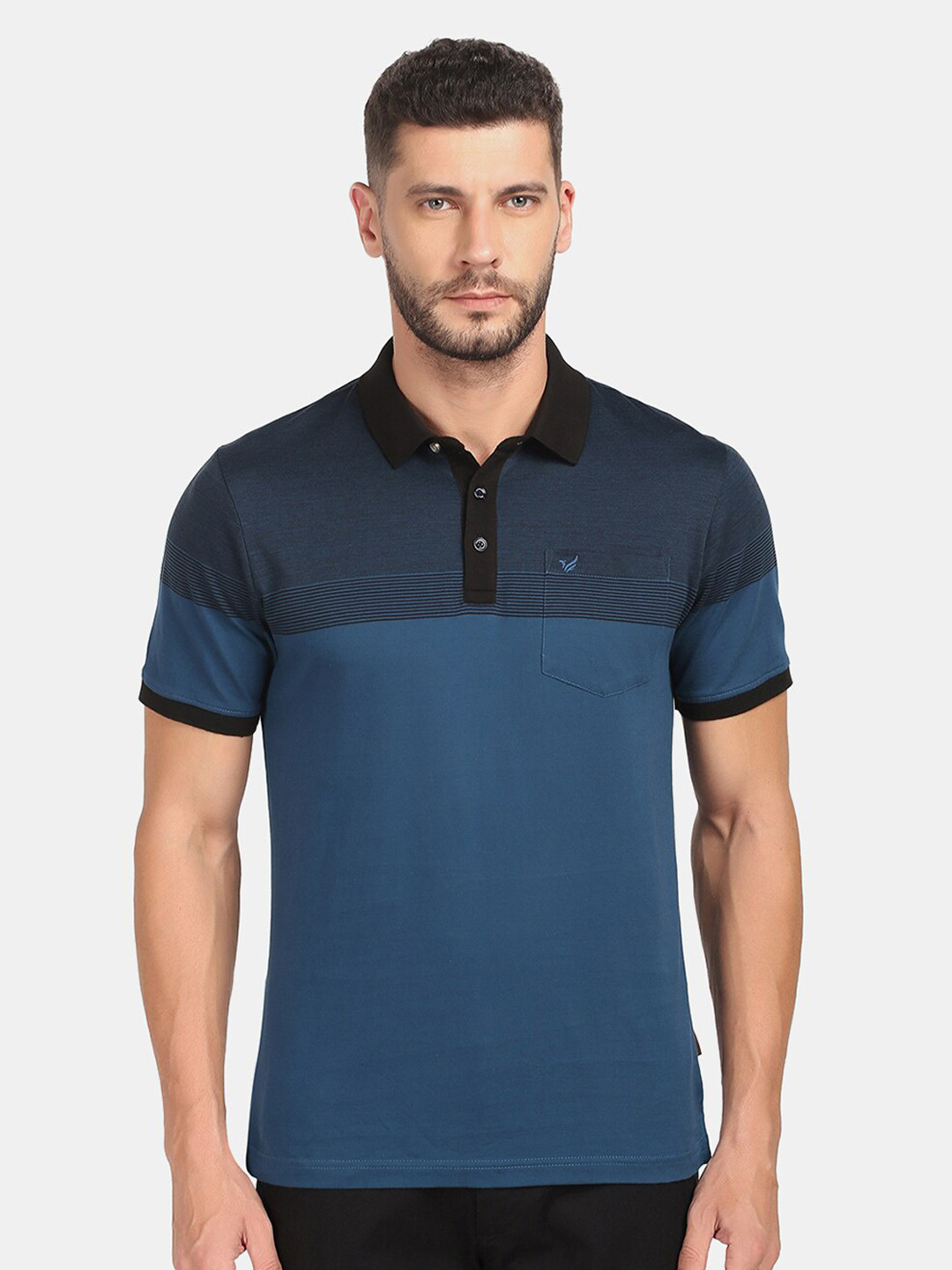 

Blackberrys Men Colourblocked Polo Collar Slim Fit T-shirt, Blue