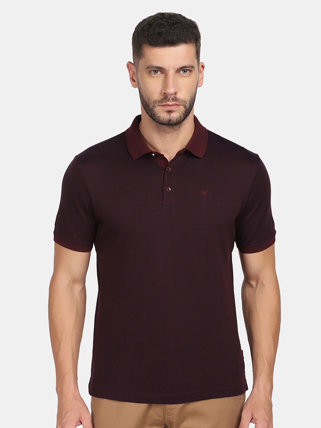 

Blackberrys Men Polo Collar Slim Fit T-shirt, Maroon