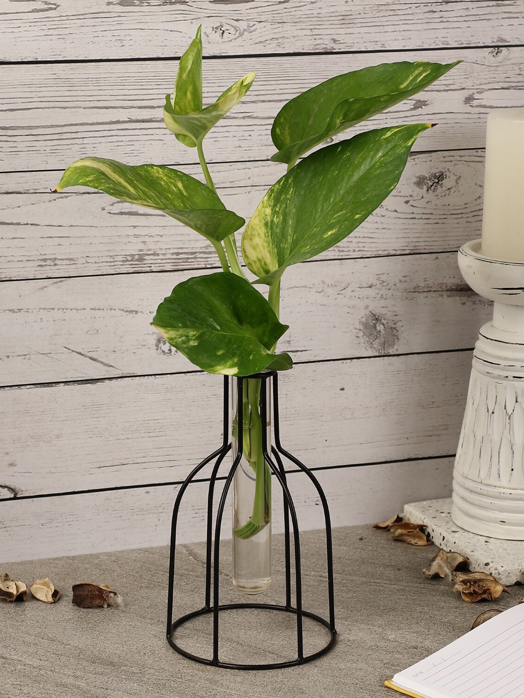 

The Decor Mart Wire Vase Metal Testube Planter, Black