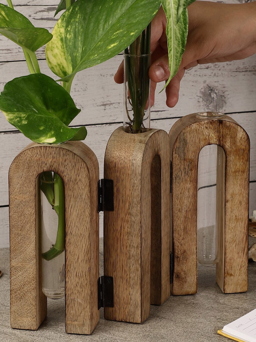 

The Decor Mart Solid Foldable Arch Testube Planter, Camel brown