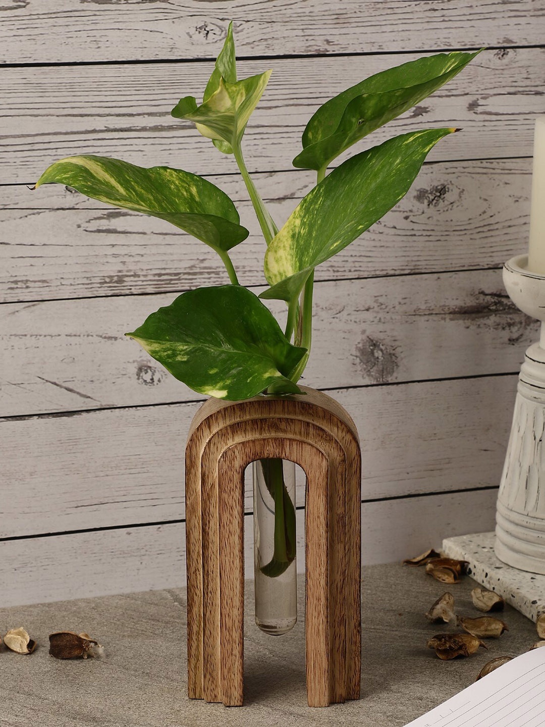 

The Decor Mart Solid Testube Planter, Camel brown