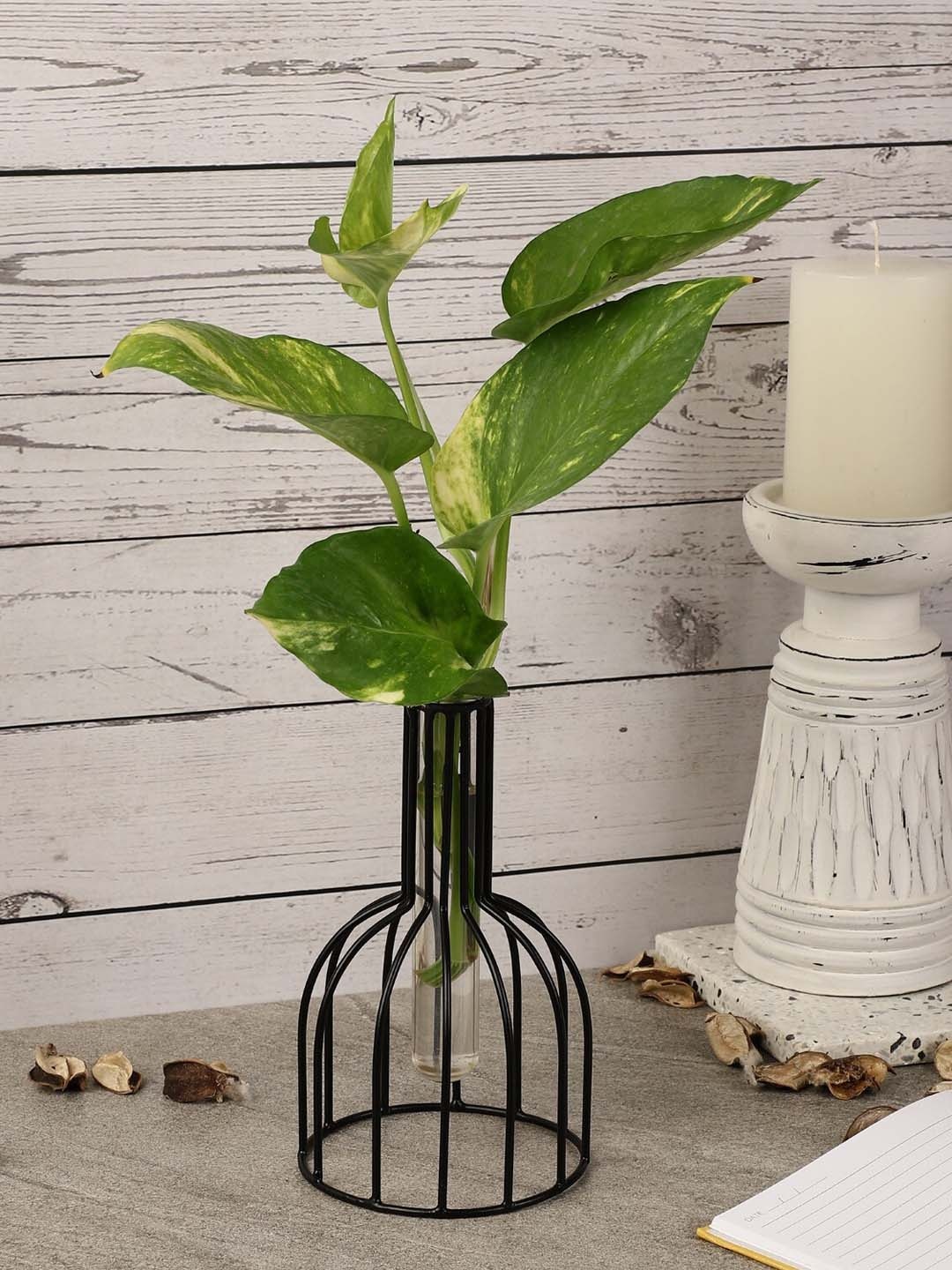 

The Decor Mart Wire Cage Testube Planter, Black