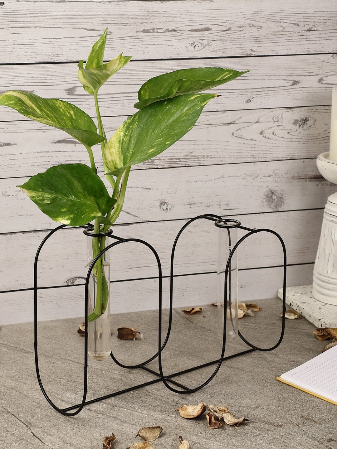 

The Decor Mart Solid Slope Testube Planter, Black