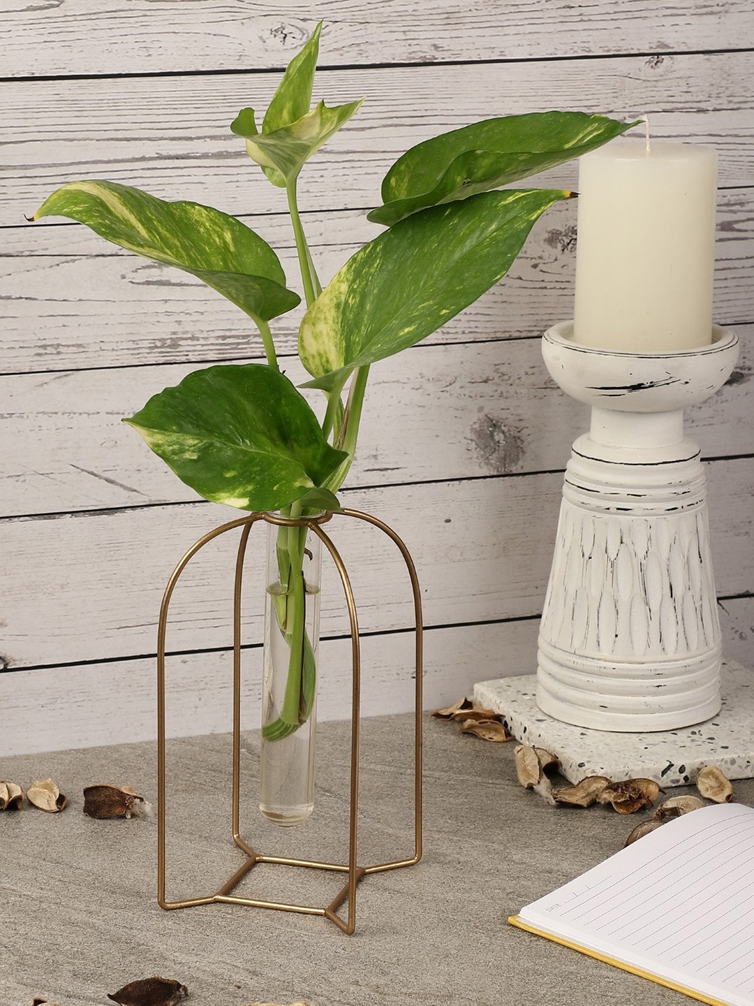 

The Decor Mart Morocco Testube Planter, Gold